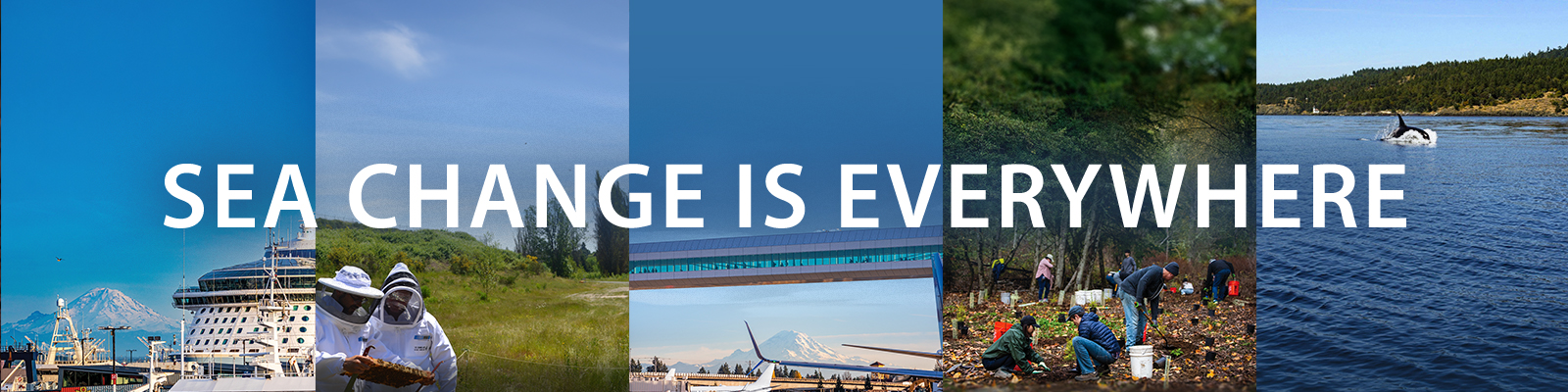 Photo montage that reads SEA Change is Everywhere Photo montage that reads SEA Change is Everywhere